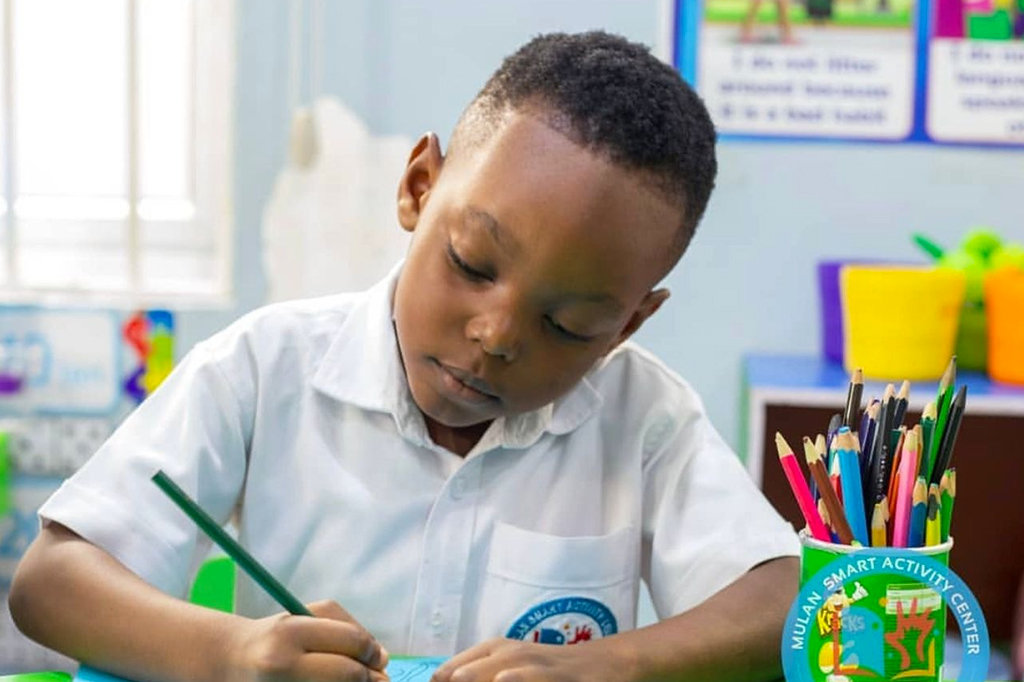Young student at school
